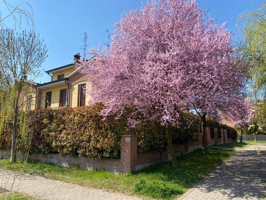 Suite Travel Home Modena Buitenkant foto